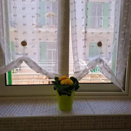 Domus Nicolaus Giovinazzo