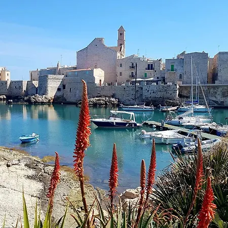 Domus Nicolaus Apartman