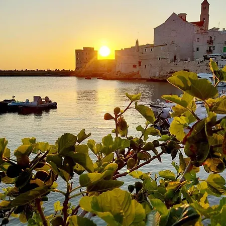 Domus Nicolaus Apartman