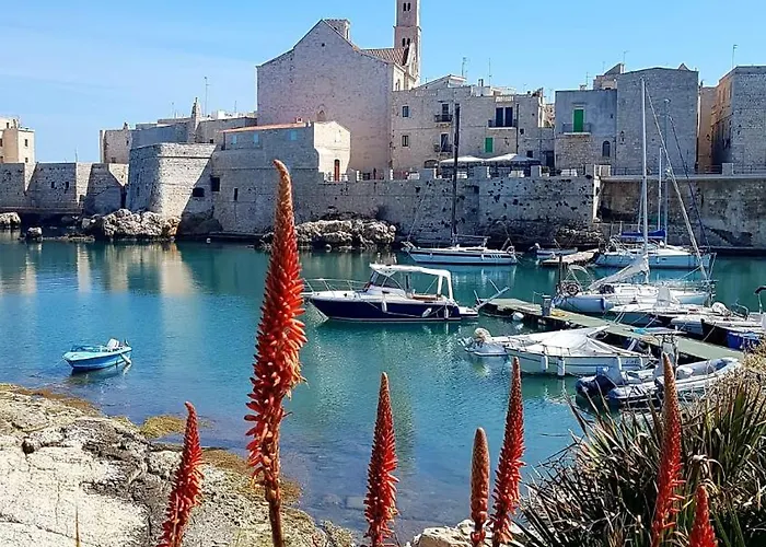 Domus Nicolaus Daire