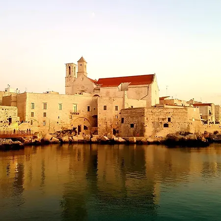 Domus Nicolaus